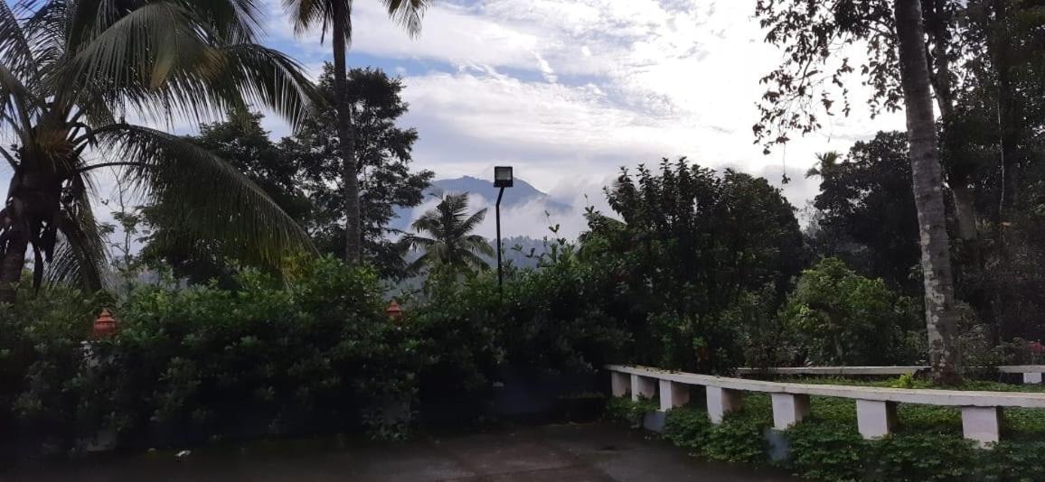 Pepper Valley Resort Kalpetta Exterior photo